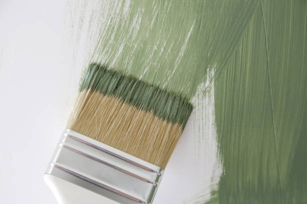 Mold Documentation for Insurance Claims in Addis, LA