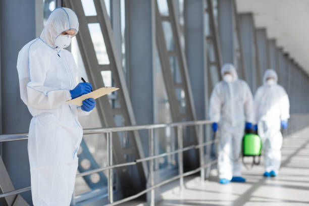 Best Mold Removal for HVAC Installations  in Addis, LA