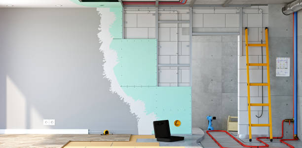 Best Black Mold Removal  in Addis, LA