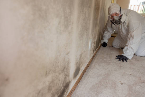 Best Airborne Mold Testing  in Addis, LA