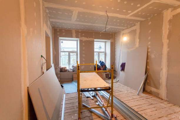 Trusted Addis, LA Mold Removal Experts